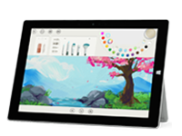 玛沁Surface 无法开启、Windows 无法启动或电池无法充电
